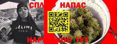 прущие грибы Малоярославец