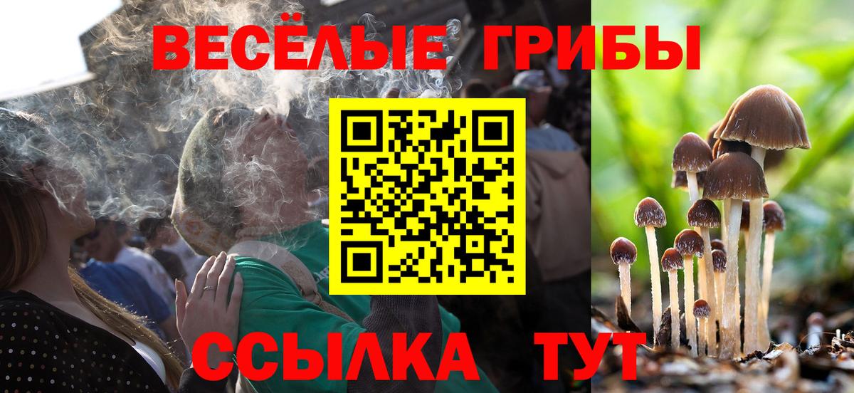 Галлюциногенные грибы прущие грибы Хасавюрт